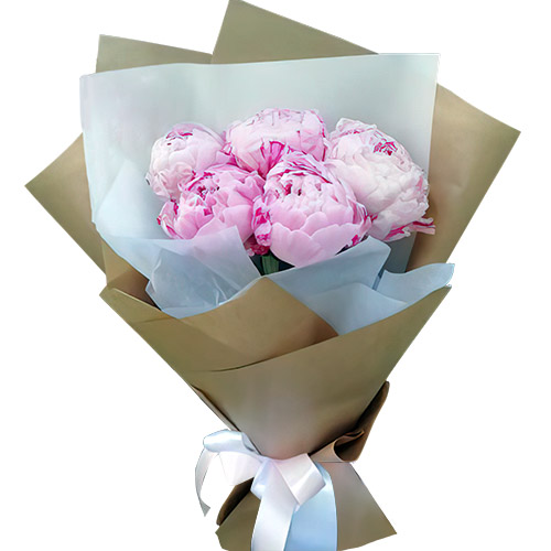 Фото товара 5 светло-розовых пионов у Чернівцях