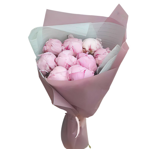 Фото товара 9 светло-розовых пионов у Чернівцях