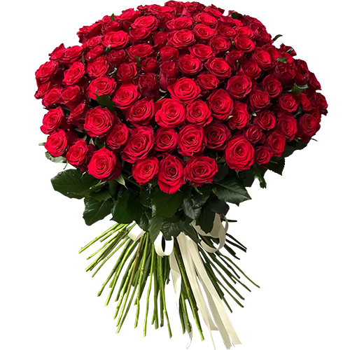Фото товара 101 троянда червона у Чернівцях