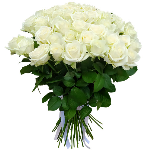 Фото товара 51 роза белая у Чернівцях