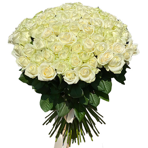 Фото товара 101 троянда біла у Чернівцях