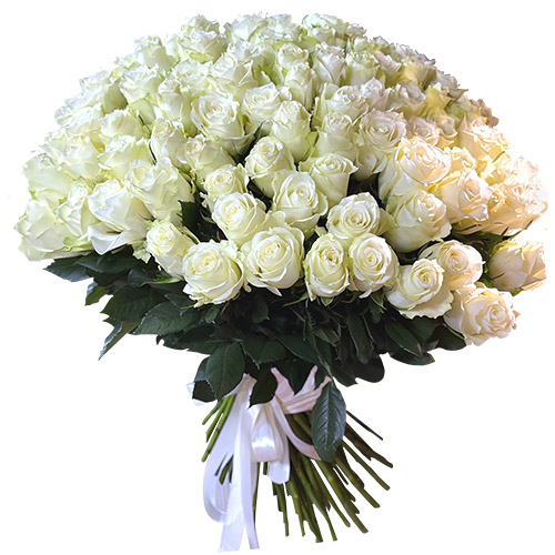 Фото товара 101 белая импортная роза у Чернівцях