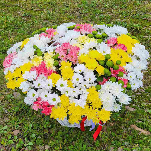большая корзина хризантем в Чернигове фото