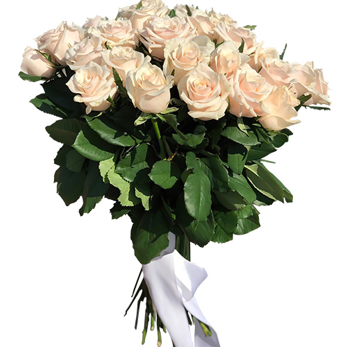 Фото товара Букет из 33 кремовых роз у Чернівцях