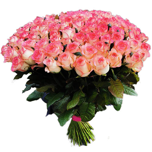 Фото товара Букет троянд 101 Джамілія у Чернівцях